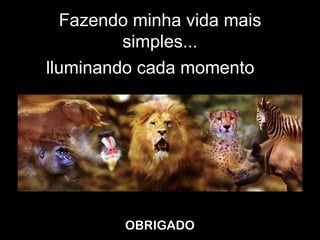 Fazendo minha vida mais
           simples...
I lluminando cada momento




          OBRIGADO
 