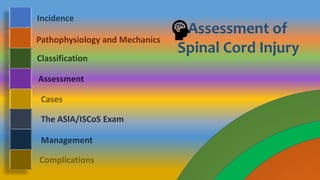 Assessment Of Spinal Cord Injury | PPTX