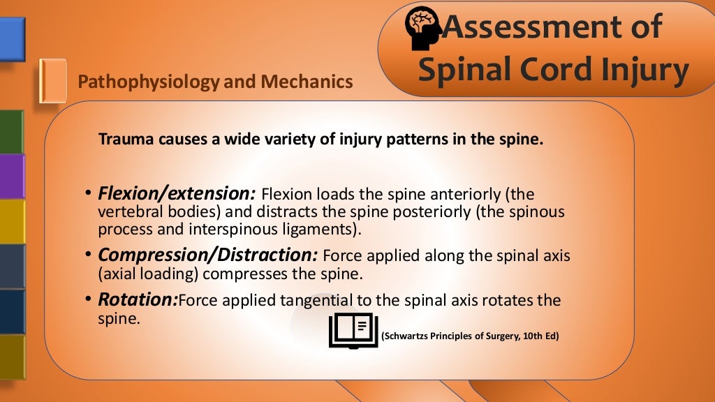Assessment Of Spinal Cord Injury