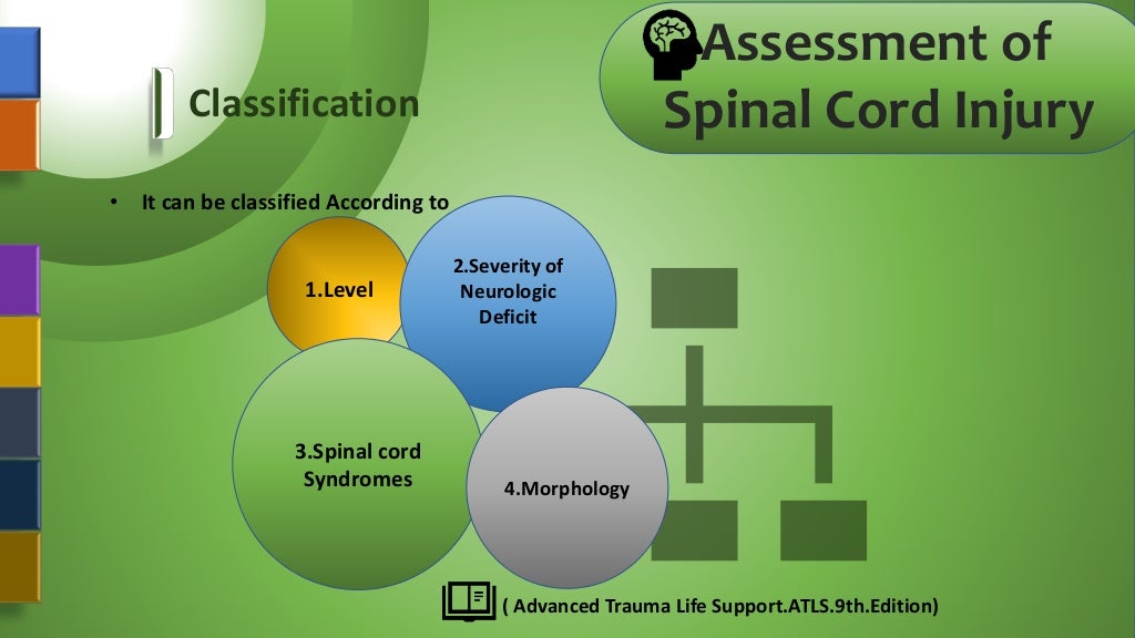 Assessment Of Spinal Cord Injury
