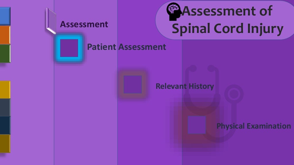 Assessment Of Spinal Cord Injury