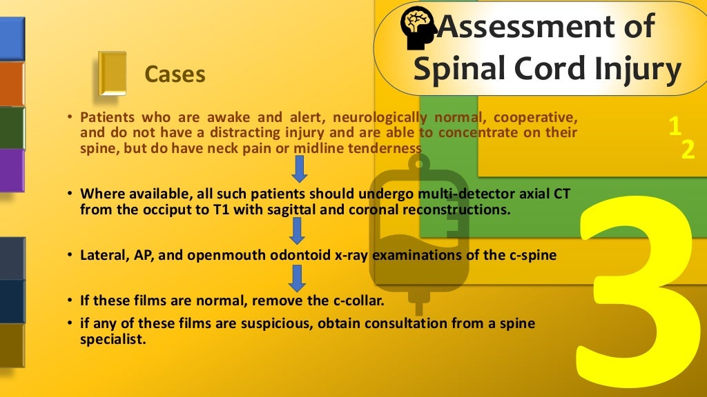 Assessment Of Spinal Cord Injury