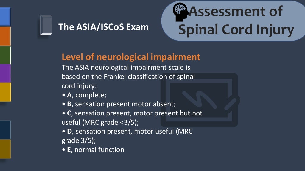 Assessment Of Spinal Cord Injury