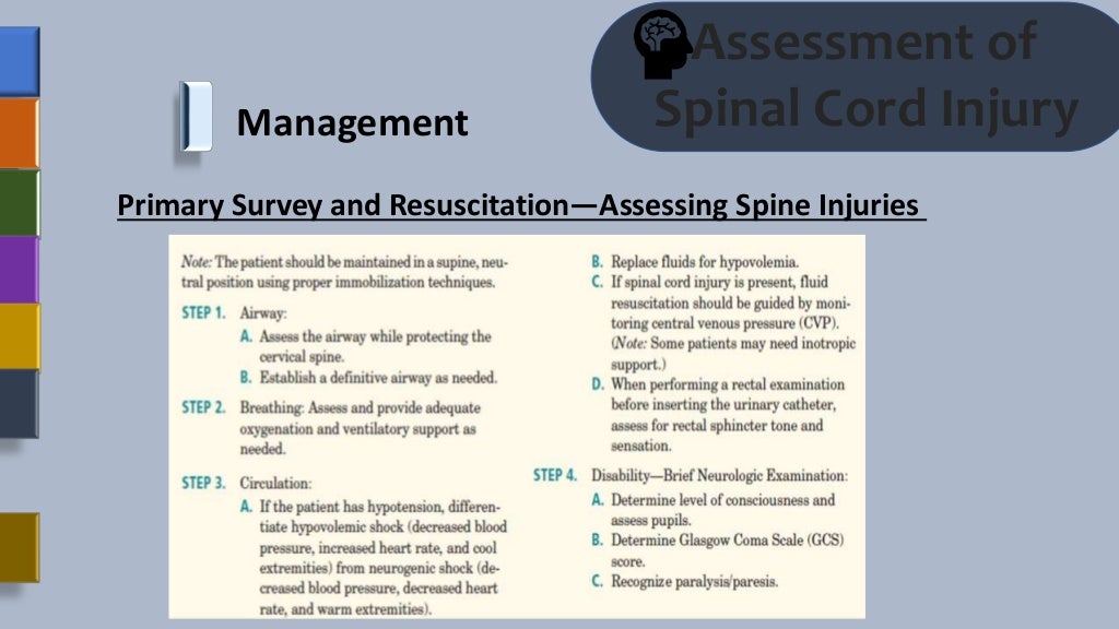 Assessment Of Spinal Cord Injury