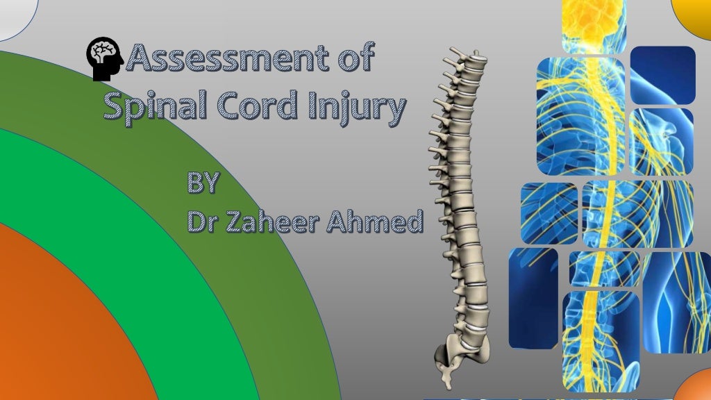 Assessment Of Spinal Cord Injury