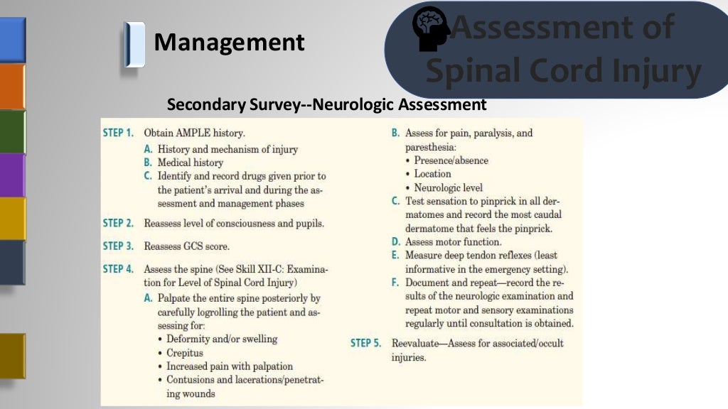 Assessment Of Spinal Cord Injury