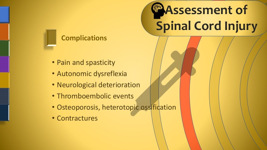 Assessment Of Spinal Cord Injury