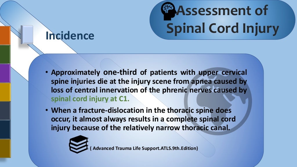 Assessment Of Spinal Cord Injury