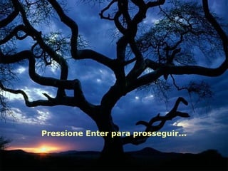 Pressione Enter para prosseguir...
 