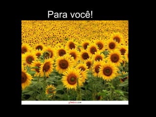 Para você! 