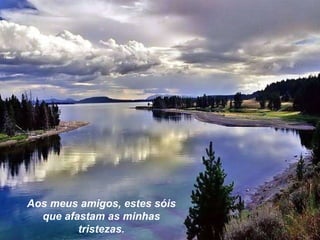 Aos meus amigos, estes sóis que afastam as minhas tristezas. 