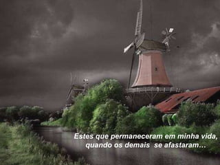 Estes que permaneceram em minha vida, quando os demais  se afastaram… 