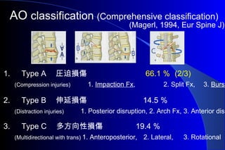 AOSPINE2010TLfx | PPT