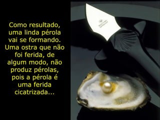 Como resultado, uma linda pérola vai se formando. Uma ostra que não foi ferida, de algum modo, não produz pérolas, pois a pérola é uma ferida cicatrizada... 