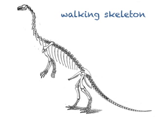 walking skeleton
 