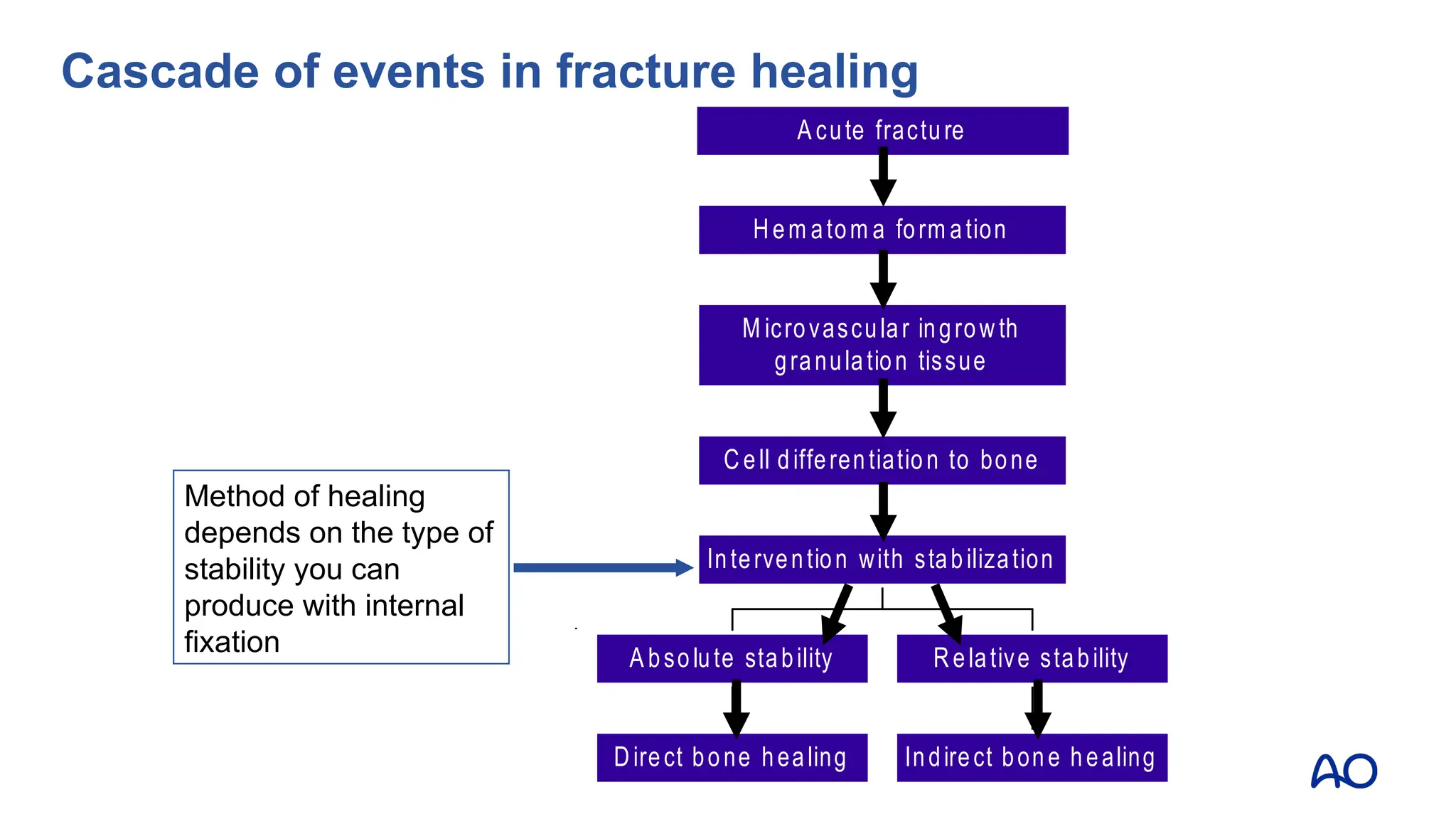 Direct bone healing
A bsolute stability
Indirect bone healing
Relative stability
Intervention with stabilization
Cell differentiation to bone
M icrovascular ingrowth
granulation tissue
Hem atom a form ation
A cute fracture
Method of healing
depends on the type of
stability you can
produce with internal
fixation
Cascade of events in fracture healing
 
