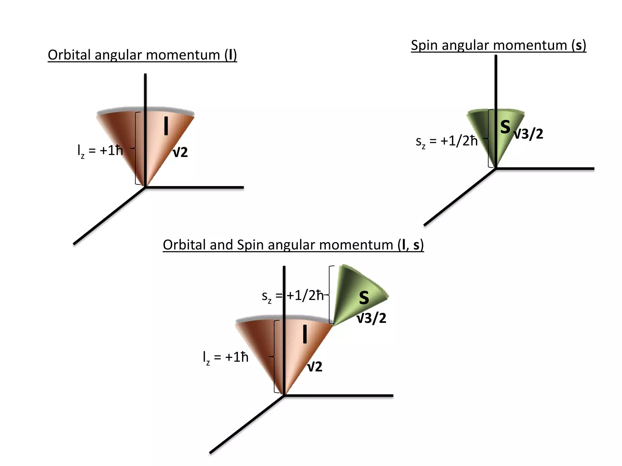 l
√2lz = +1ħ
s√3/2sz = +1/2ħ
Orbital angular momentum (l)
Spin angular momentum (s)
Orbital and Spin angular momentum (l, s)
l
s
lz = +1ħ
sz = +1/2ħ
√2
√3/2
 