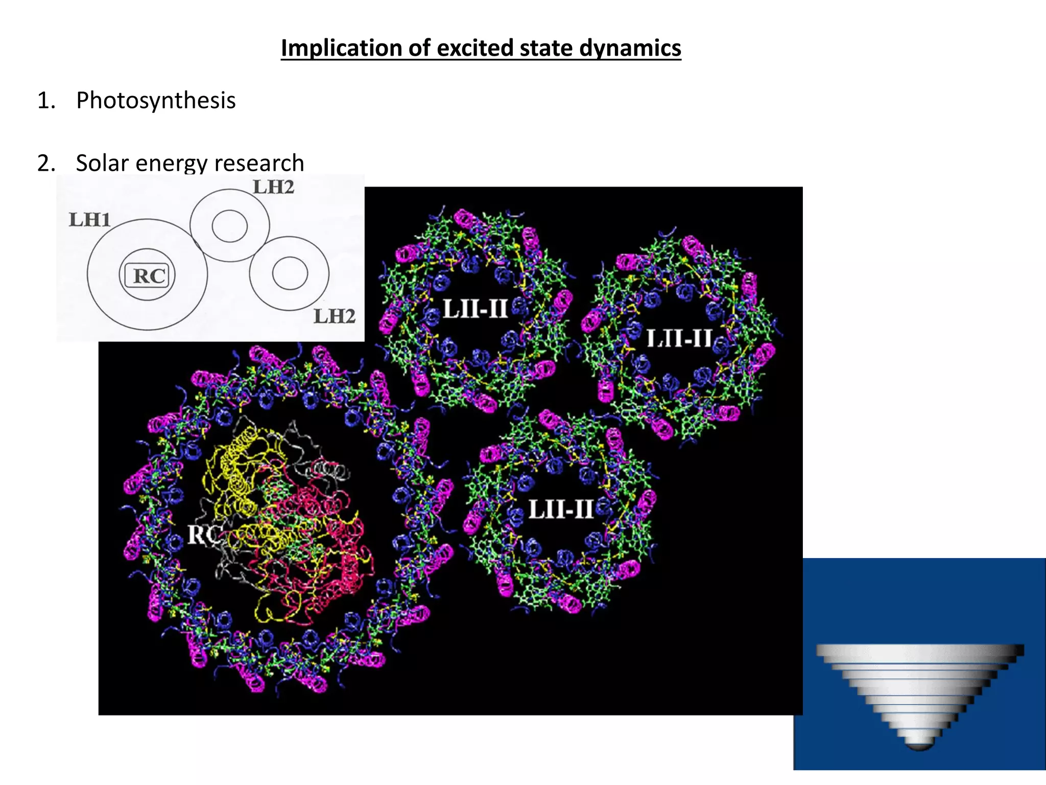 Implication of excited state dynamics
1. Photosynthesis
2. Solar energy research
 