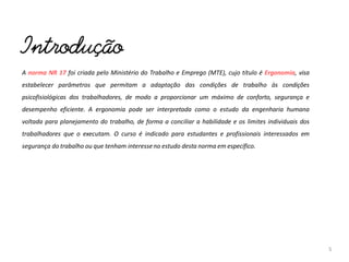 A norma NR 17 foi criada pelo Ministério do Trabalho e Emprego (MTE), cujo título é Ergonomia, visa
estabelecer parâmetros que permitam a adaptação das condições de trabalho às condições
psicofisiológicas dos trabalhadores, de modo a proporcionar um máximo de conforto, segurança e
desempenho eficiente. A ergonomia pode ser interpretada como o estudo da engenharia humana
voltada para planejamento do trabalho, de forma a conciliar a habilidade e os limites individuais dos
trabalhadores que o executam. O curso é indicado para estudantes e profissionais interessados em
segurança do trabalho ou que tenham interesseno estudo desta norma em específico.
5
 