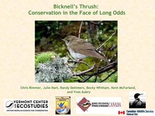 Bicknell’s Thrush:  Conservation in the Face of Long Odds ,[object Object],[object Object]
