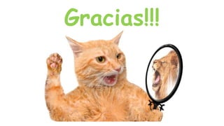 Gracias!!!
 