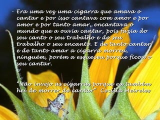 • Era uma vez uma cigarra que amava oEra uma vez uma cigarra que amava o
cantar e por isso cantava com amor e porcantar e por isso cantava com amor e por
amor e por tanto amar, encantava oamor e por tanto amar, encantava o
mundo que a ouvia cantar, pois fazia domundo que a ouvia cantar, pois fazia do
seu canto o seu trabalho e do seuseu canto o seu trabalho e do seu
trabalho o seu encanto. E de tanto cantartrabalho o seu encanto. E de tanto cantar
e de tanto amar a cigarra morreu,e de tanto amar a cigarra morreu,
ninguém, porém a esqueceu porque ficou oninguém, porém a esqueceu porque ficou o
seu cantar.seu cantar.
““Não invejo as cigarras porque eu tambémNão invejo as cigarras porque eu também
hei de morrer de cantar” Cecília Meireleshei de morrer de cantar” Cecília Meireles
 