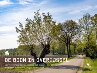 Een verkenning naar de waarden van bomen en de kansen
die bomen bieden voor omgevingskwaliteit
De boom in Overijssel
 