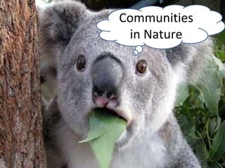Communities
in Nature
 