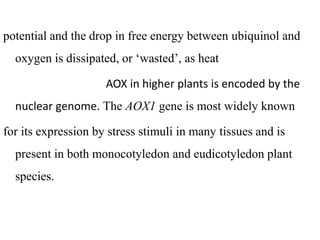 potential and the drop in free energy between ubiquinol and
oxygen is dissipated, or ‘wasted’, as heat
AOX in higher plants is encoded by the
nuclear genome. The AOX1 gene is most widely known
for its expression by stress stimuli in many tissues and is
present in both monocotyledon and eudicotyledon plant
species.
 