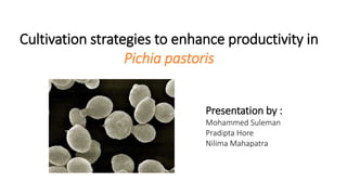 Cultivation strategies to enhance productivity in
Pichia pastoris
Presentation by :
Mohammed Suleman
Pradipta Hore
Nilima Mahapatra
 