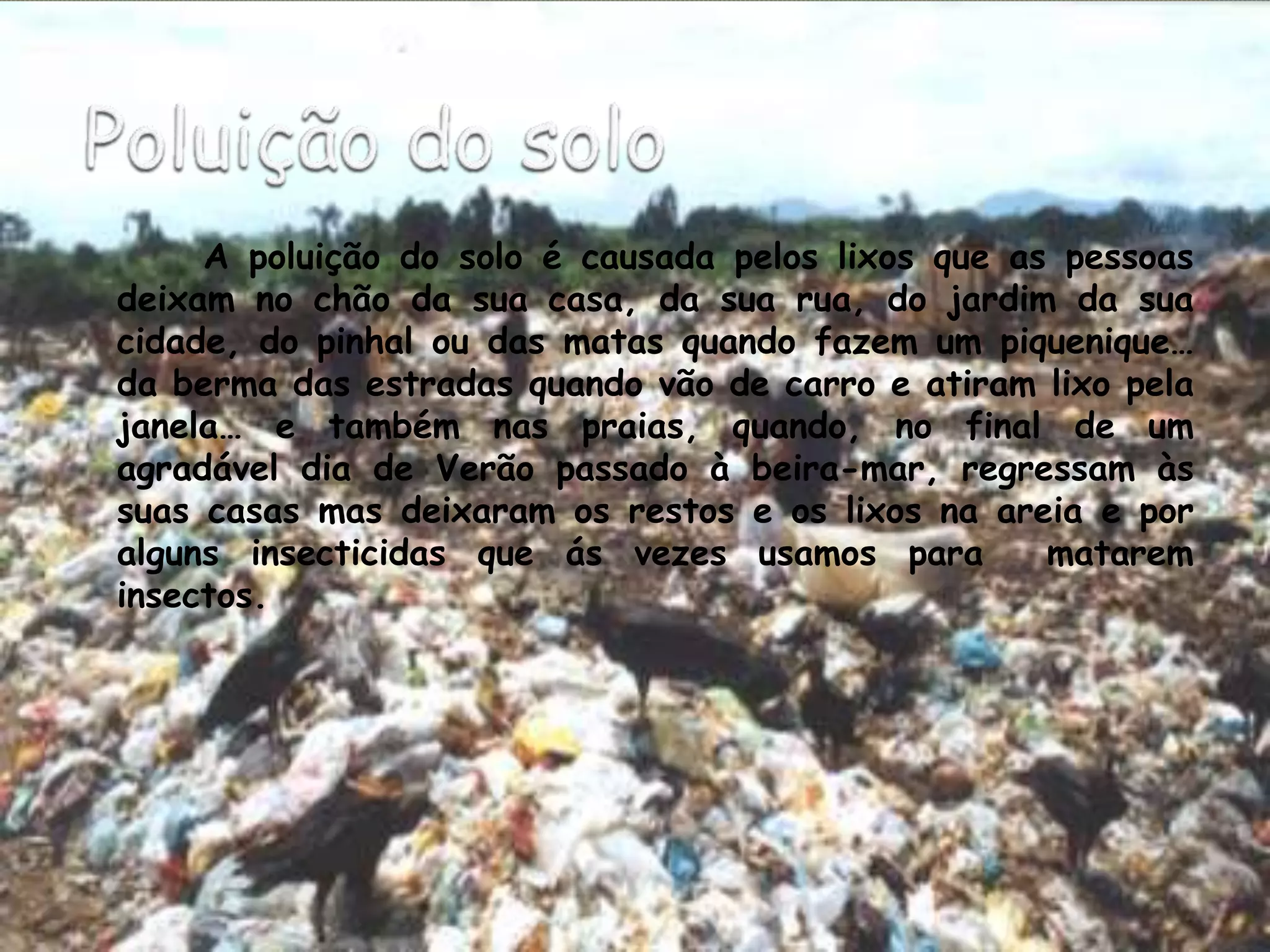 Poluição do solo   	A poluição do solo é causada pelos lixos que as pessoas deixam no chão da sua casa, da sua rua, do jardim da sua cidade, do pinhal ou das matas quando fazem um piquenique… da berma das estradas quando vão de carro e atiram lixo pela janela… e também nas praias, quando, no final de um agradável dia de Verão passado à beira-mar, regressam às suas casas mas deixaram os restos e os lixos na areia e por alguns insecticidas que ás vezes usamos para  matarem  insectos. 