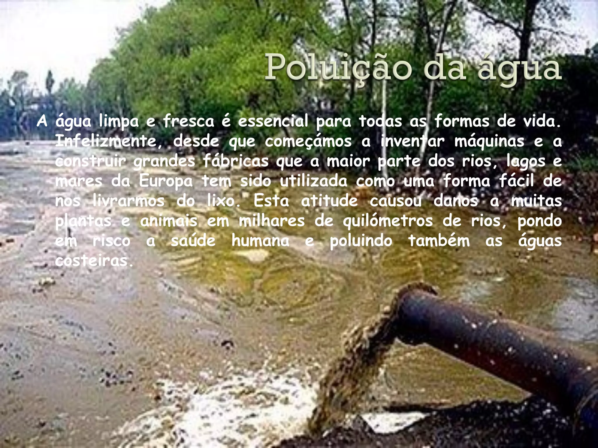 A água limpa e fresca é essencial para todas as formas de vida.
  Infelizmente, desde que começámos a inventar máquinas e a
  construir grandes fábricas que a maior parte dos rios, lagos e
  mares da Europa tem sido utilizada como uma forma fácil de
  nos livrarmos do lixo. Esta atitude causou danos a muitas
  plantas e animais em milhares de quilómetros de rios, pondo
  em risco a saúde humana e poluindo também as águas
  costeiras.
 