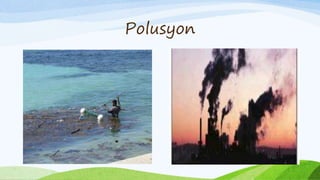 Polusyon
 