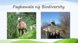 Pagkawala ng Biodiversity
 