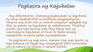 Pagkasira ng Kagubatan
Ang deforestation o tahasang pagkawasak ng kagubatan
ay isang napakakritikal na problema pangkapaligiran.
Masama ang dulot nito sa natural ecosystem sapagkat ang
likas na yaman ng kagubatan ay nababawasan. Pinipiling
putulin ang mga punong may ilang libong taon ng
nabubuhay sa kagubatan at hindi ito basta lamang
napapalitan sa pama,agitan ng pagtatanim.
Sa pagkawala ng mga puno, marami ring mga species ng
mga halaman at hayop ang nanganganib dahil nawawalan
sila ng natural na tirahan o natural habitat.
 