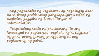 Ang pagkakalbo ng kagubatan ay nagbibigay daan
pa sa ibang problemang pangkapaligiran tulad ng
pagbaha, pagguho ng lupa, siltasyon at
sedimentation.
Pangunahing sanhi ng problemang ito ang
komersyal na pagtotroso, pagkakaingin, pagputol
ng puno upang gawing panggatong at ang
pagkasunog ng gubat.
 