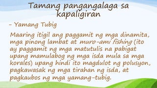 Tamang pangangalaga sa
kapaligiran
- Yamang Tubig
Maaring itigil ang paggamit ng mga dinamita,
mga pinong lambat at muro-ami fishing (ito
ay paggamit ng mga matutulis na pabigat
upang mamulabog ng mga isda mula sa mga
korales) upang hindi ito magdulot ng polusyon,
pagkawasak ng mga tirahan ng isda, at
pagkaubos ng mga yamang-tubig.
 