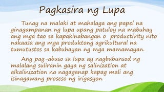 Pagkasira ng Lupa
Tunay na malaki at mahalaga ang papel na
ginagampanan ng lupa upang patuloy na mabuhay
ang mga tao sa kapakinabangan o productivity nito
nakaasa ang mga produktong agrikultural na
tumutustos sa kabuhayan ng mga mamamayan.
Ang pag-abuso sa lupa ay nagbubunsod ng
malalang suliranin gaya ng salinization at
alkalinization na nagaganap kapag mali ang
isinagawang proseso ng irigasyon.
 
