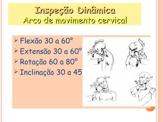 IInnssppeeççããoo DDiinnââmmiiccaa 
AArrccoo ddee mmoovviimmeennttoo cceerrvviiccaall 
 Flexão 30 a 60° 
 Extensão 30 a 60° 
 Rotação 60 a 80° 
 Inclinação 30 a 45° 
 
