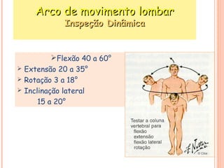 AArrccoo ddee mmoovviimmeennttoo lloommbbaarr 
IInnssppeeççããoo DDiinnââmmiiccaa 
Flexão 40 a 60° 
 Extensão 20 a 35° 
 Rotação 3 a 18° 
 Inclinação lateral 
15 a 20° 
 