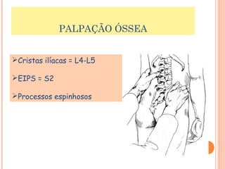 PALPAÇÃO ÓSSEA 
Cristas ilíacas = L4-L5 
EIPS = S2 
Processos espinhosos 
 