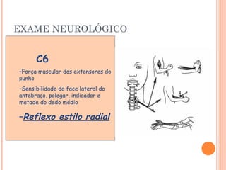 EXAME NEUROLÓGICO 
C6 
–Força muscular dos extensores do 
punho 
–Sensibilidade da face lateral do 
antebraço, polegar, indicador e 
metade do dedo médio 
–Reflexo estilo radial 
 