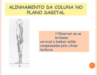 ALINHAMENTO DA COLUNA NO 
PLANO SAGITAL 
Observar se as 
lordoses 
cervical e lombar estão 
compensadas pela cifose 
torácica 
 