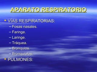 APARATO RESPIRATORIOAPARATO RESPIRATORIO
 VÍAS RESPIRATORIAS:VÍAS RESPIRATORIAS:
– Fosas nasales.Fosas nasales.
– Faringe.Faringe.
– Laringe.Laringe.
– Tráquea.Tráquea.
– Bronquios.Bronquios.
– Bronquiolos.Bronquiolos.
 PULMONES:PULMONES:
 