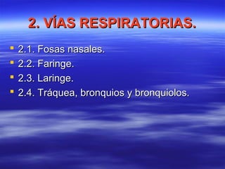 2. VÍAS RESPIRATORIAS.2. VÍAS RESPIRATORIAS.
 2.1. Fosas nasales.2.1. Fosas nasales.
 2.2. Faringe.2.2. Faringe.
 2.3. Laringe.2.3. Laringe.
 2.4. Tráquea, bronquios y bronquiolos.2.4. Tráquea, bronquios y bronquiolos.
 