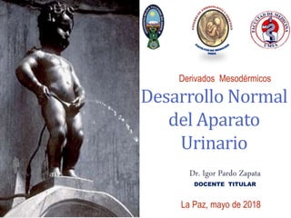 Desarrollo Normal
del Aparato
Urinario
Dr. Igor Pardo Zapata
DOCENTE TITULAR
Derivados Mesodérmicos
La Paz, mayo de 2018
 