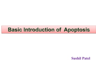Basic Introduction of Apoptosis or Cell death | PPTX