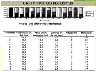 USO EM VIVEIROS FLORESTAIS
Em experimento com a espécie Pinus taeda, Maia (1999) testou 14 diferentes tipos
de substratos combinando diferentes doses de casca de Pinus e lodo das estações de
tratamento de efluentes objetivando avaliar a eficácia do uso destes como substratos.
 