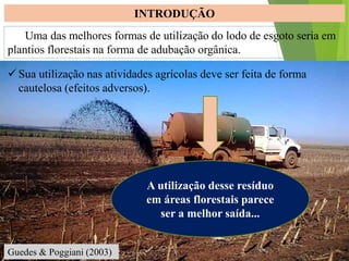 Uma das melhores formas de utilização do lodo de esgoto seria em
plantios florestais na forma de adubação orgânica.
INTRODUÇÃO
Guedes & Poggiani (2003)
 Sua utilização nas atividades agrícolas deve ser feita de forma
cautelosa (efeitos adversos).
A utilização desse resíduo
em áreas florestais parece
ser a melhor saída...
 