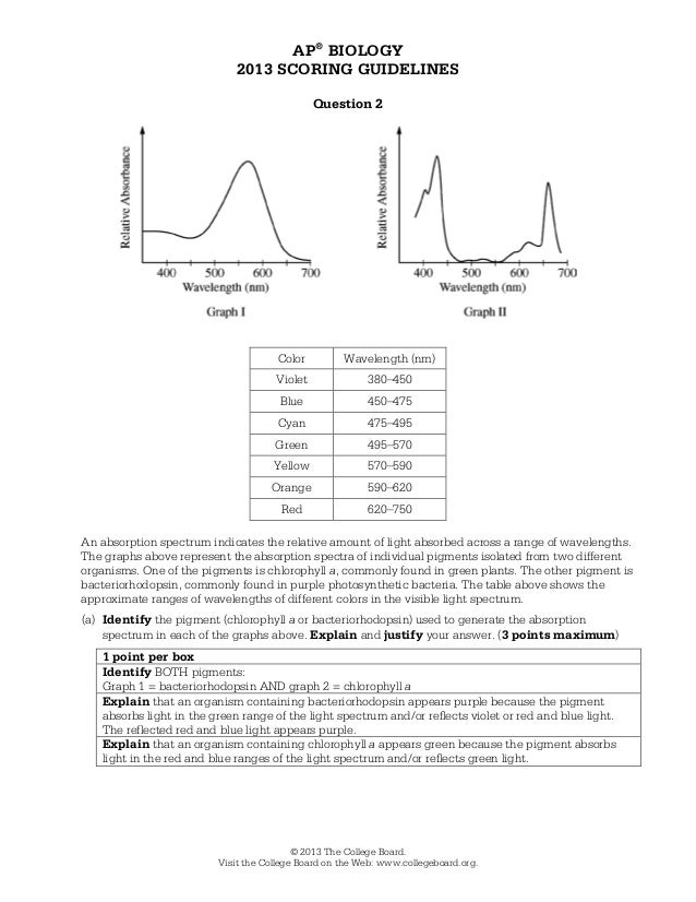 ️The Absorption Of Chlorophyll Worksheet Free Download Gmbar.co
